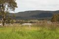 Property photo of 39 Wollombi Road Millfield NSW 2325