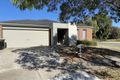 Property photo of 17 Evergreen Way Shepparton VIC 3630