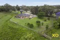 Property photo of 75 Bridgman Road Singleton Heights NSW 2330