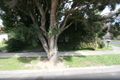 Property photo of 5 Acacia Road Upper Ferntree Gully VIC 3156