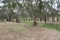 Property photo of 113 White Hut Road Stanley Flat SA 5453