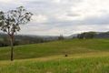 Property photo of 471-499 Aherns Road Conondale QLD 4552