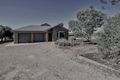 Property photo of 74 Kibby Road Loxton SA 5333