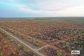 Property photo of 1781 Florina Road Katherine NT 0850