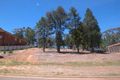 Property photo of 19 Kansas Drive Tolland NSW 2650