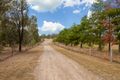 Property photo of 75 Wollemi Peak Road Bulga NSW 2330