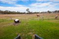 Property photo of 75 Wollemi Peak Road Bulga NSW 2330