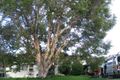 Property photo of 8 Edmund Street Beverly Hills NSW 2209