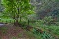 Property photo of 75-77 Asquith Street Austinmer NSW 2515