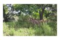 Property photo of 57/4528 Bundaberg Gin Gin Road Gin Gin QLD 4671