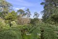 Property photo of 8 Marama Road Belgrave Heights VIC 3160
