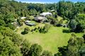Property photo of 7 Gipanni Place Diddillibah QLD 4559