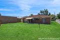 Property photo of 16 Eucalypt Street Bellara QLD 4507