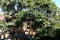 Property photo of 39/7-9 Gilbert Street Dover Heights NSW 2030