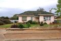 Property photo of 33 Allambee Avenue Edwardstown SA 5039