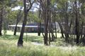 Property photo of 1941 Emmaville Road Reddestone NSW 2370