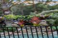 Property photo of 24 Sundown Close Tanawha QLD 4556