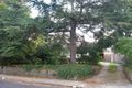 Property photo of 11 Glenard Drive Eaglemont VIC 3084