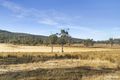 Property photo of LOT 1 Rosedale Road Bicheno TAS 7215