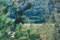 Property photo of 18 Cleveland Place Bonnet Bay NSW 2226