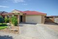 Property photo of 8 Bailey Boulevard Koo Wee Rup VIC 3981