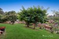 Property photo of 146 Pitt Street Eltham VIC 3095