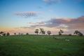 Property photo of 429 Summit Road Mount Barker Summit SA 5251