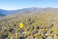 Property photo of 23 Warrambat Road Sawmill Settlement VIC 3723