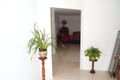Property photo of 19 Glasford Crescent Kioloa NSW 2539