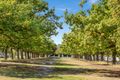 Property photo of 27 Hobson Street Sandringham VIC 3191