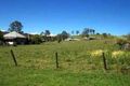 Property photo of 56 Berkeley Street Stroud NSW 2425