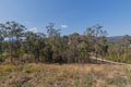 Property photo of 51 Regal Drive Canungra QLD 4275