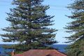 Property photo of 1/138 Avoca Drive Avoca Beach NSW 2251