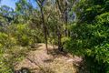 Property photo of 20 Richardson Boulevard Lorne VIC 3232