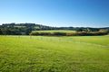Property photo of 160 Baldrys Road Main Ridge VIC 3928