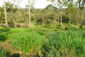 Property photo of 41 Lawrie Road Sarina Range QLD 4737