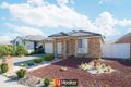 Property photo of 16 Eurobin Street Harrison ACT 2914