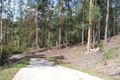 Property photo of 6 Native Bird Place Buderim QLD 4556