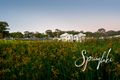 Property photo of 11 Dianella Street Mount Barker SA 5251