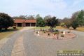 Property photo of 43 Sheppard Road Collombatti NSW 2440