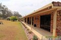 Property photo of 43 Sheppard Road Collombatti NSW 2440