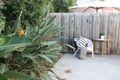 Property photo of 17/72 Learoyd Road Algester QLD 4115