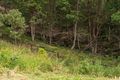 Property photo of 3 Verde Court Upper Coomera QLD 4209