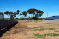 Property photo of 22 Hindmarsh Road Murray Bridge SA 5253