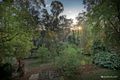 Property photo of 55 Caroline Avenue Cockatoo VIC 3781