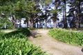 Property photo of 20 Cliff Road Merricks Beach VIC 3926