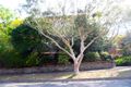 Property photo of 30 Crows Nest Road Waverton NSW 2060