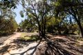 Property photo of 56 Bethwyn Circuit Madeley WA 6065