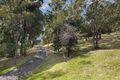 Property photo of 34 Hillcrest Road Hurstbridge VIC 3099