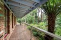 Property photo of 16 Dickens Road Olinda VIC 3788